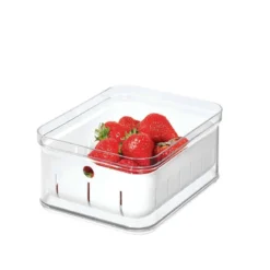 Boîte de conservation des fruits rouges