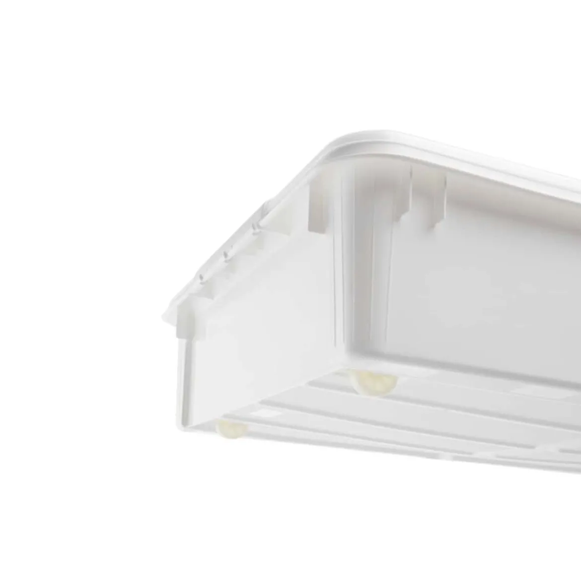 Boîte sous le lit avec couvercle papillon 60 litres