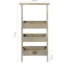 Etagère à plantes échelle