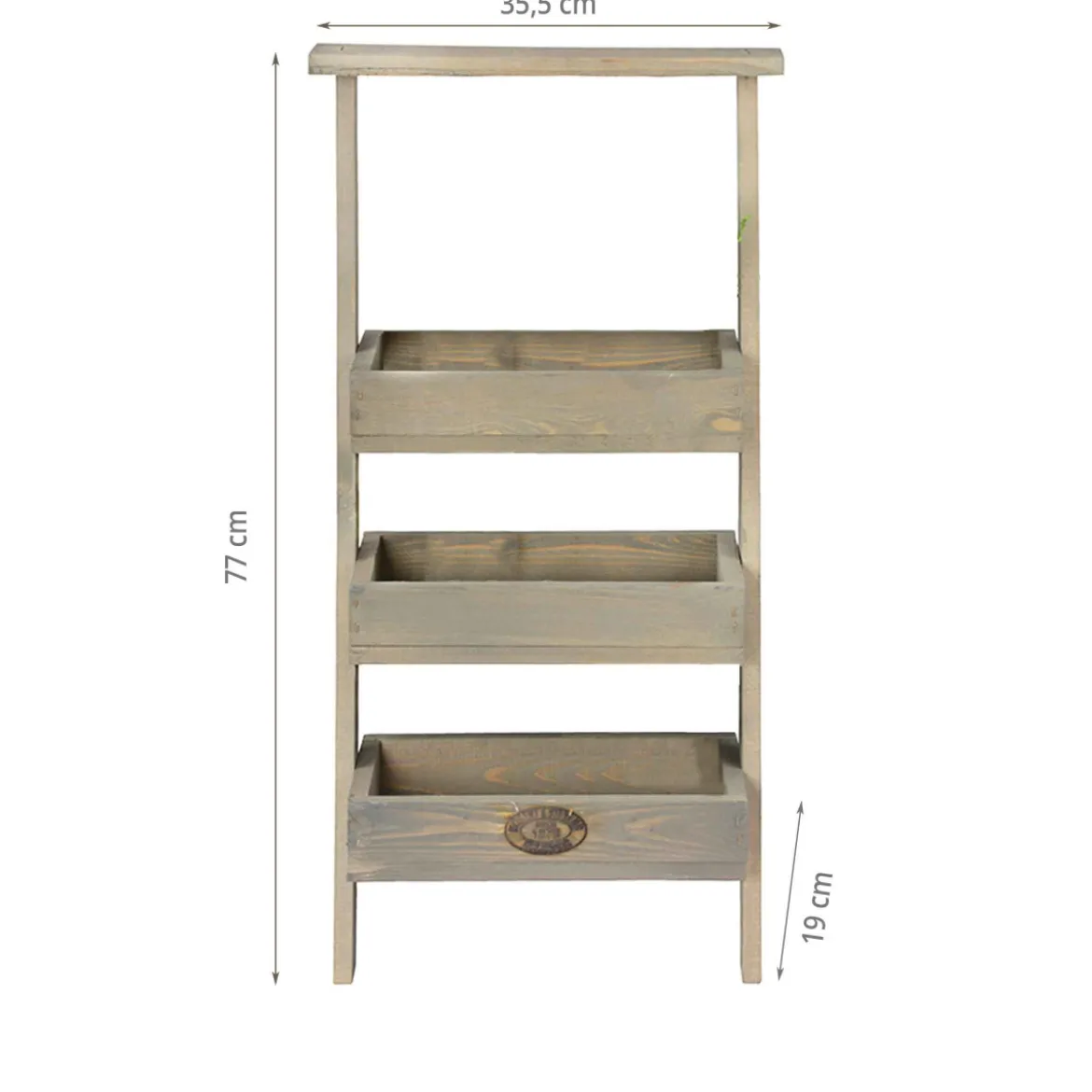 Etagère à plantes échelle