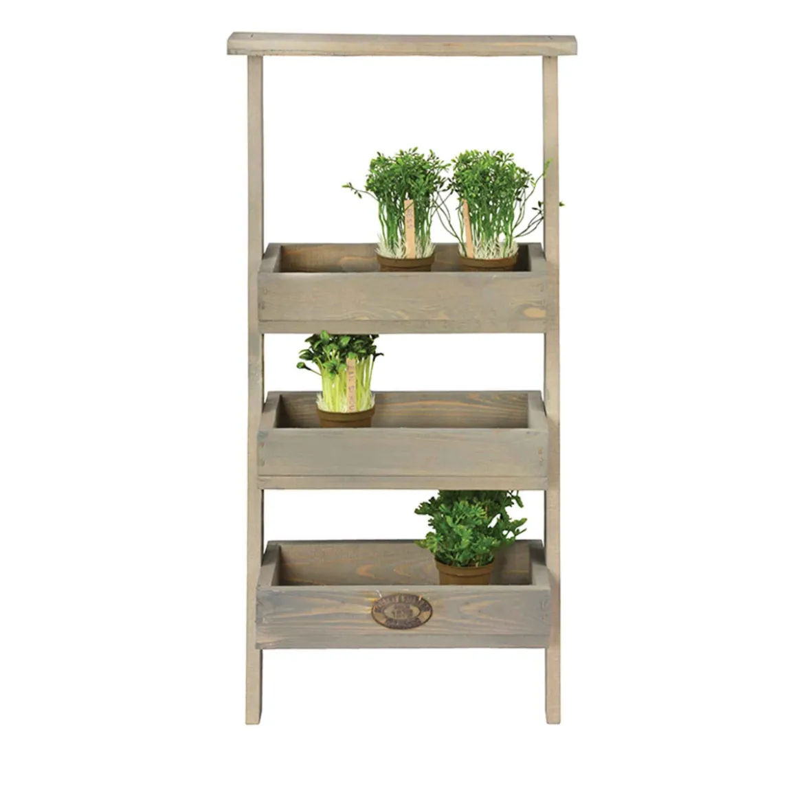 Etagère à plantes échelle