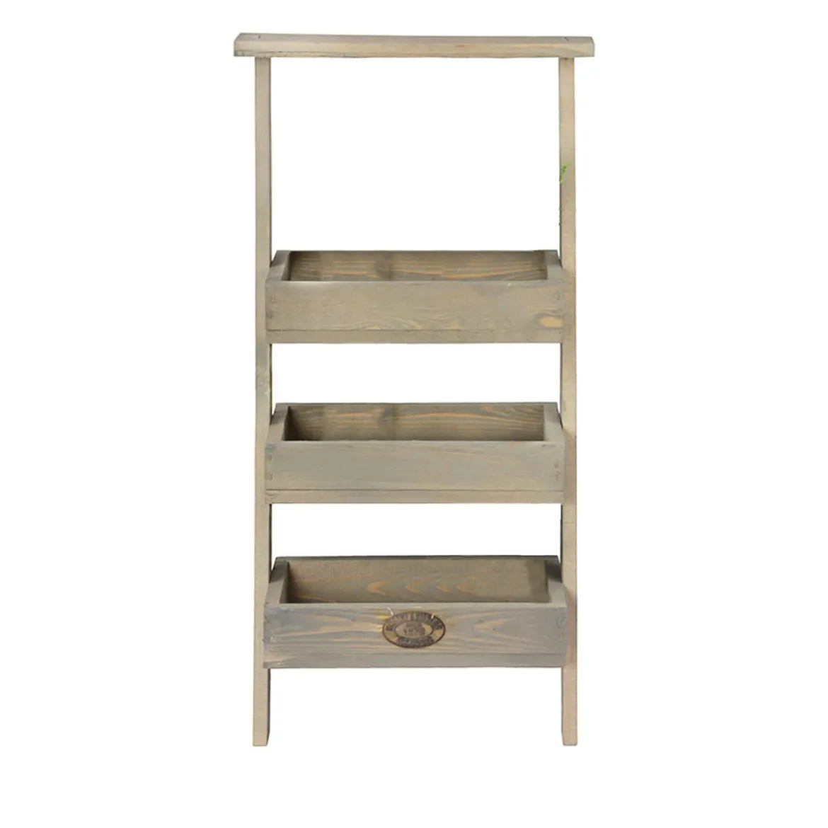 Etagère à plantes échelle