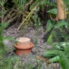 Olla à enterrer en terre cuite