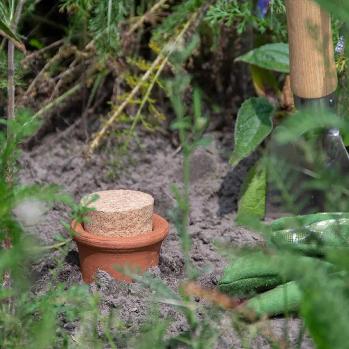 Olla à planter en terre cuite 4 litres