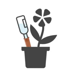 Olla pour plante d'intérieur