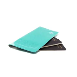 Organisateur de voyage turquoise