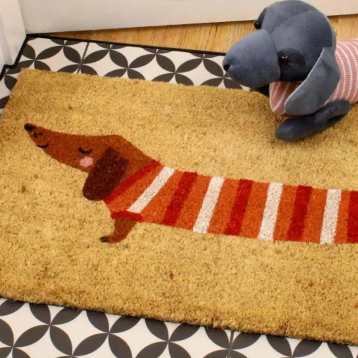 Paillasson chien saucisse