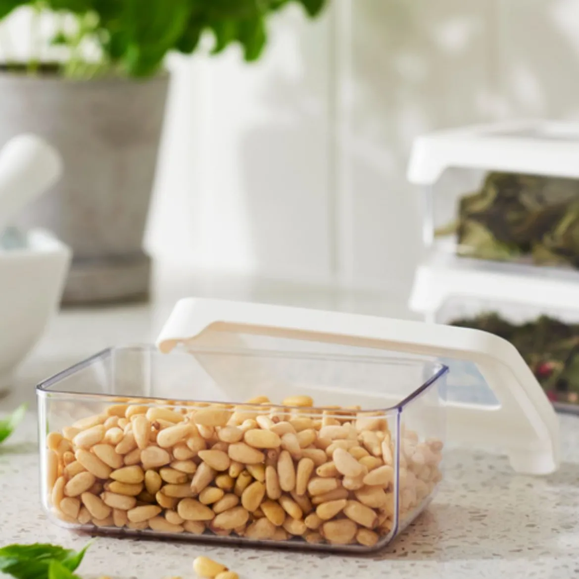 Petite boîte de rangement alimentaire hermétique 0,35 litre