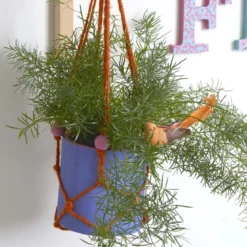 3 pots à crayons ronds en bois
