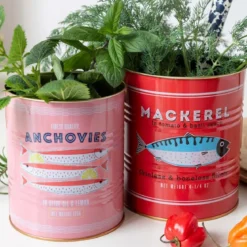 2 pots façon boîte de conserve