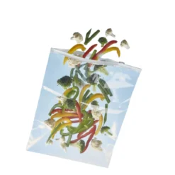 10 sachets d'emballage en plastique avec curseur 21 x 15 cm