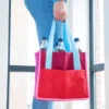 Sac porte-bouteilles coloré