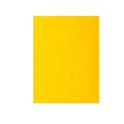 100 sous-chemises papier