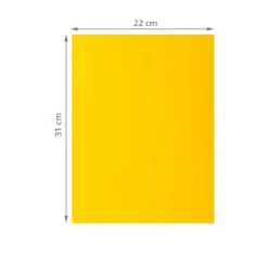 100 sous-chemises papier