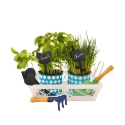 5 étiquettes ardoise pour plantes