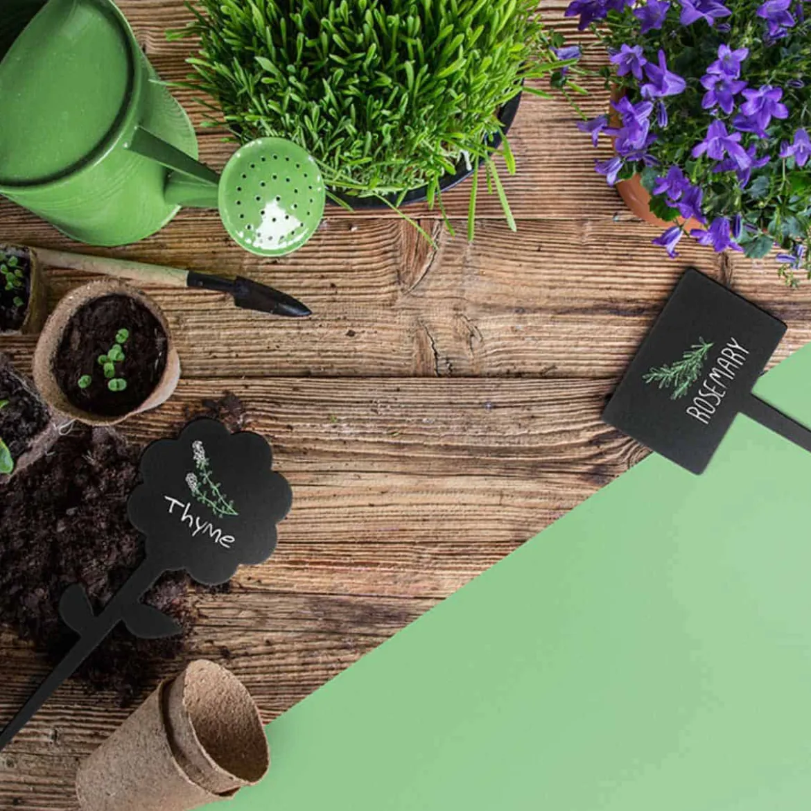5 étiquettes ardoise pour plantes