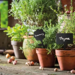 5 étiquettes ardoise pour plantes