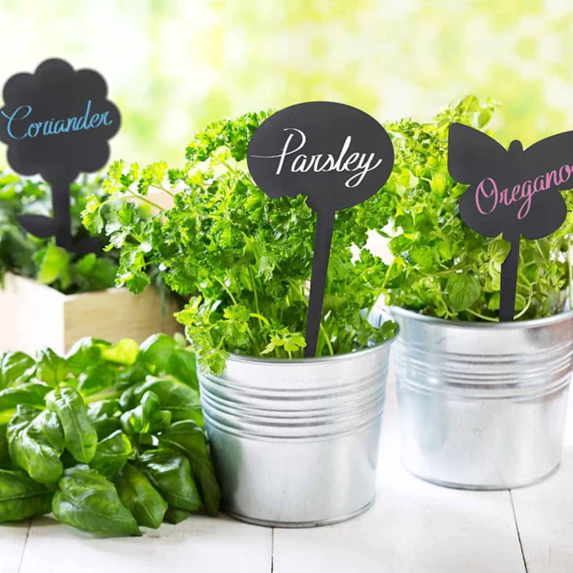 5 étiquettes ardoise pour plantes